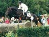stallion Fontainbleau (Trakehner, 1991, from Rockefeller)