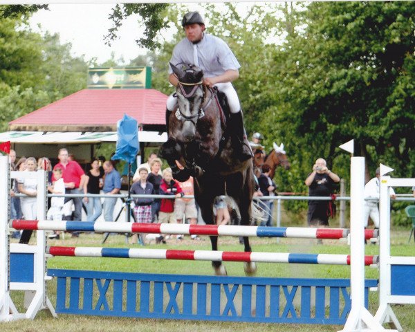 jumper Colt L (German Sport Horse, 2006, from Coolman)