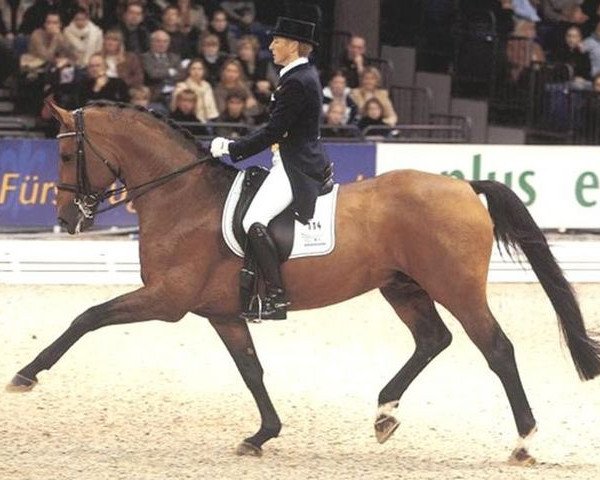 dressage horse Fiorissimo (Hanoverian, 1993, from Werther)
