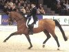 stallion Fiorissimo (Hanoverian, 1993, from Werther)