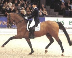 stallion Fiorissimo (Hanoverian, 1993, from Werther)