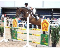 broodmare Caramia la Belle (Oldenburg show jumper, 2006, from Colander)