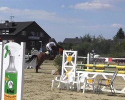 jumper Lewanto (Westphalian, 2004, from Lupicor)