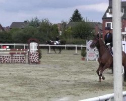 dressage horse En vogue 4 (Westphalian, 2005, from Sibirian Express)