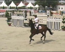 jumper Quidam's Cherie (Oldenburg, 2005, from Quidam's Rubin)