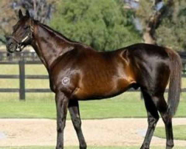 stallion Rubiton xx (Thoroughbred, 1983, from Century xx)