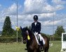 dressage horse Lilien Fee (Trakehner, 2009, from Kaiserdom)