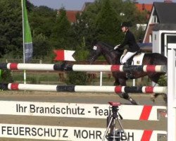 dressage horse Flash Rouge 5 (Westphalian, 2007, from Floresco NRW)