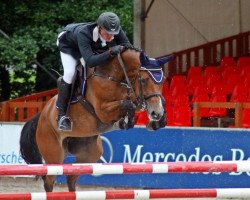 jumper Quidam's Alegria (Oldenburg show jumper, 2003, from Quidam's Rubin)