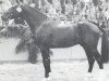stallion Cordeur (Holsteiner, 1984, from Cor de la Bryère)