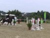 Springpferd Quad Gd (Westfale, 2008, von Quattro B)