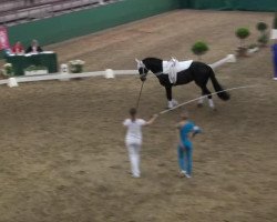 Pferd Fenrir (Rheinländer, 2000, von Foxiland xx)