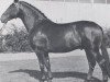 stallion Ludolf (Holsteiner, 1962, from Lohengrin)