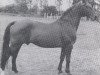 stallion Heilbutt (Holsteiner, 1942, from Heinerle)
