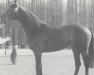 stallion Hercos (Dutch Warmblood, 1989, from Nimmerdor)