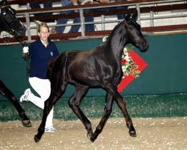 broodmare Finale (Westphalian, 2009, from Florestan I)