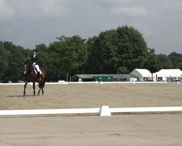 Reitturnier Wohlesbostel 2022