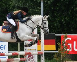 jumper Miss Milly (Irish Sport Horse, 2000)