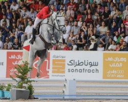 jumper Champ's Son (Holsteiner, 2008, from Cumano)