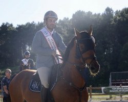 jumper Jessien van t Martendonkerf (Belgian Warmblood, 2009, from Diabeau)