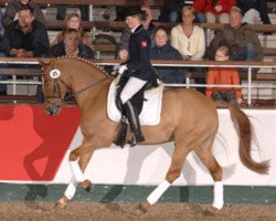 dressage horse Donchester (Westfale, 1999, from FS Don't Worry)