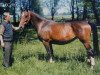 horse Ella (Holsteiner, 1968, from Colt)