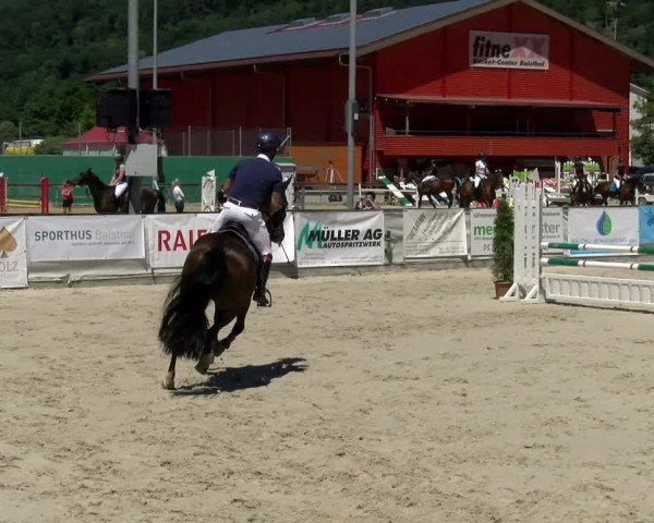 Reitturnier Balsthal 2022