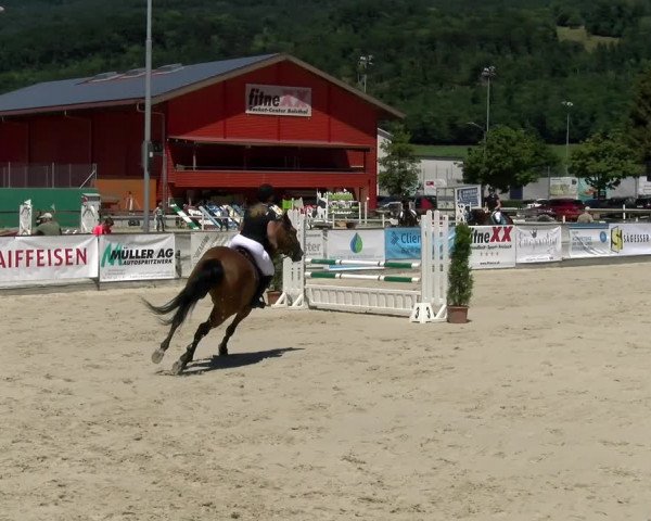 Reitturnier Balsthal 2022