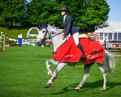 broodmare Pb Jinka (Belgian Warmblood, 2009, from Lordanos)