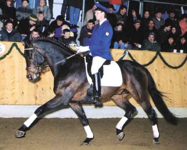 horse Legendär I (Holsteiner, 1993, from Leonid)