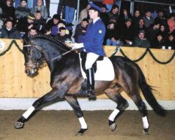 stallion Legendär I (Holsteiner, 1993, from Leonid)