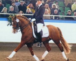 Deckhengst Timberland (Deutsches Reitpony, 1996, von Top Nonstop)