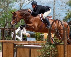 stallion Apiro (Bavarian, 2000, from Argentinus)