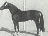 horse Dirk (Hanoverian, 1968, from Duft II)