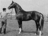 horse Weinstern (Hanoverian, 1965, from Weingau)