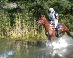 dressage horse Havana Club (Polish Warmblood, 2003, from Maram)