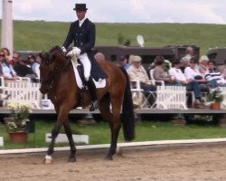 dressage horse Fairway 17 (Rhinelander, 2004, from Fuchsberger)