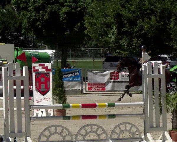 Reitturnier Balsthal 2022