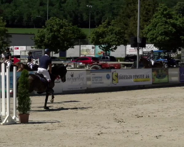 Reitturnier Balsthal 2022