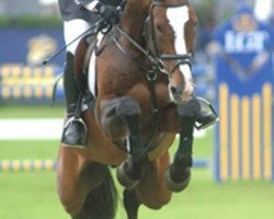 stallion Lerano (Holsteiner, 1990, from Lord)