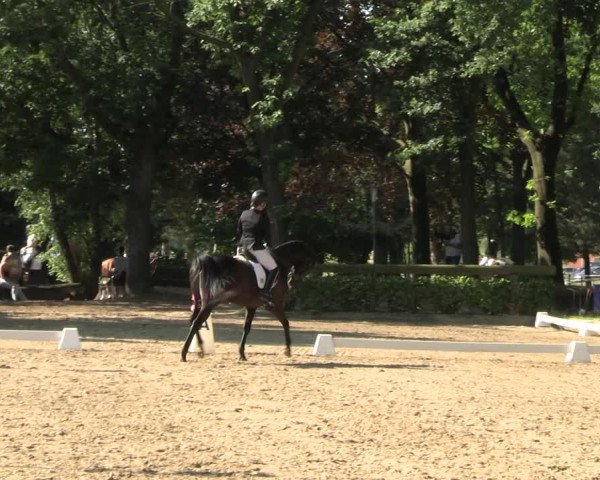 Reitturnier Barlo-Bocholt 2022