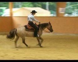 Zuchtstute Red Steppin Chic (Quarter Horse, 2007, von Hes A Steppin Jac)