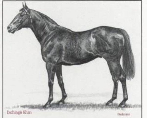 stallion Dschingis Khan xx (Thoroughbred, 1961, from Tamerlane xx)