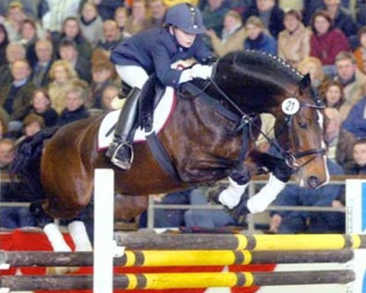 Deckhengst Externstein (KWPN (Niederländisches Warmblut), 1992, von Ehrentusch)