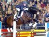stallion Externstein (KWPN (Royal Dutch Sporthorse), 1992, from Ehrentusch)