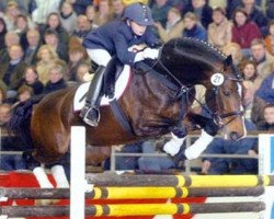 stallion Externstein (KWPN (Royal Dutch Sporthorse), 1992, from Ehrentusch)