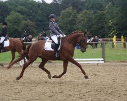 dressage horse Reichsfürstin (Hanoverian, 2002, from Rubin Royal OLD)