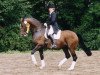 stallion Manrico (Trakehner, 1992, from Gipsy King)