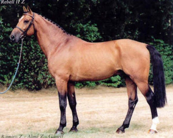 horse Rebel Z II (Hanoverian, 1985, from Ramiro Z)