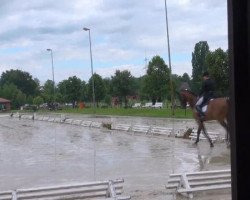 jumper Figo 36 (Rhinelander, 2004, from Fidermark)